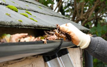 gutter cleaning The Marsh