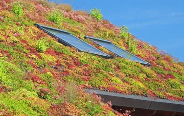 The Marsh living roof systems