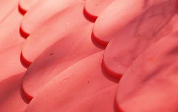 The Marsh plastic roof costs